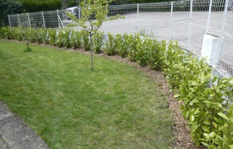 Plantation2